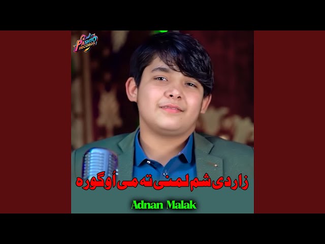 زار دی شم لمنی تہ می اُوگورہ