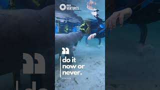 It's time to do it now! Swim with Manatee in Crystal River, Florida