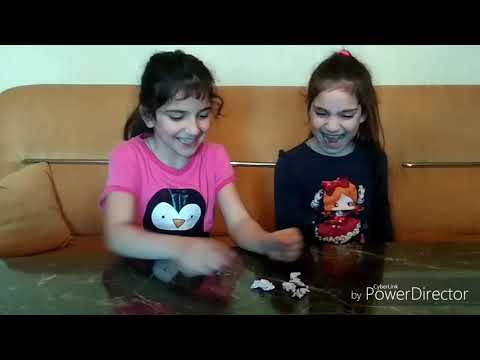 დავალებების შესრულება