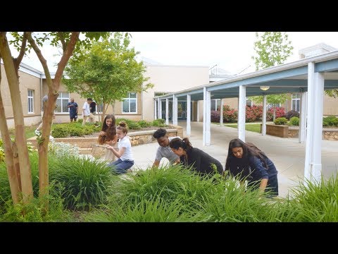 Our School: Charles T. Koontz Intermediate School