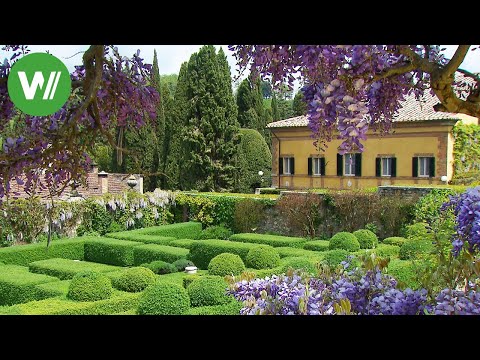 Video: Danae. Installation von Vadim Zakharov auf der Biennale von Venedig