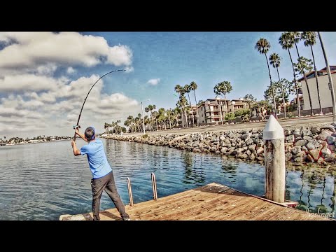 Testing new custom wrapped jigsticks!!! - YouTube