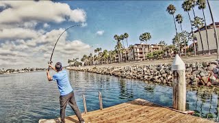 calstar 90j for sale