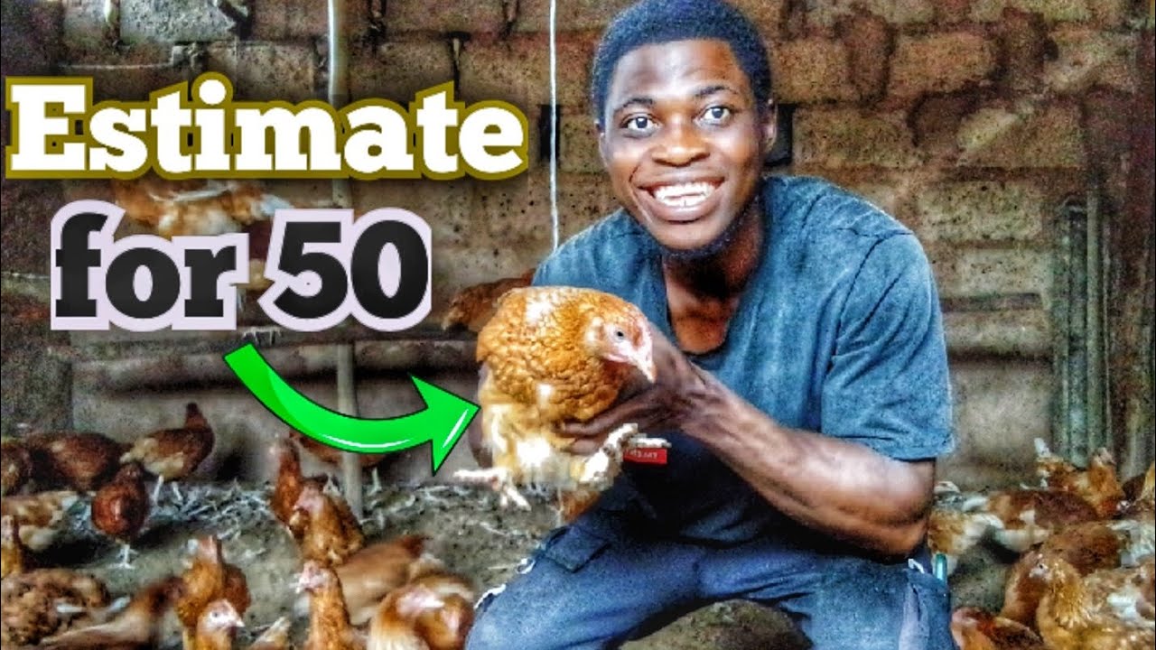 How to start 50 layers farming | Chicken farming. - YouTube