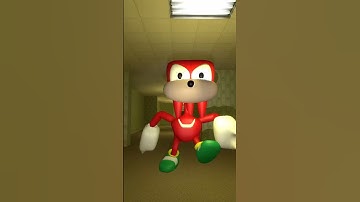 Knuckles Yes! #meme #backrooms #gmod