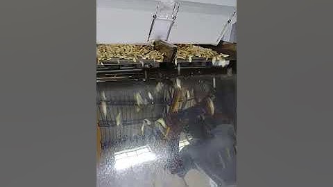 Peeled garlic sorting video Part 2, Mark color sorter ,Y,abdul azeez 8220440623