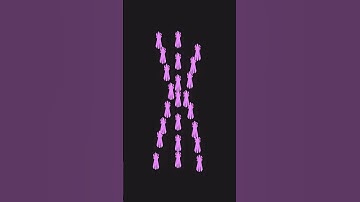 Alphabet Lore Filling with Lowercase Letters   Full Version a z