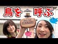 秘密基地に鳥のエサ台を作ってみた！【DIY】