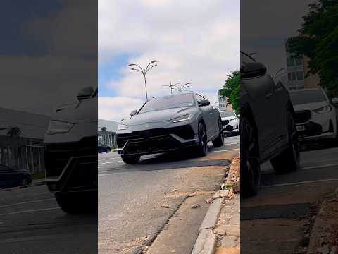 تم تأمين النقود