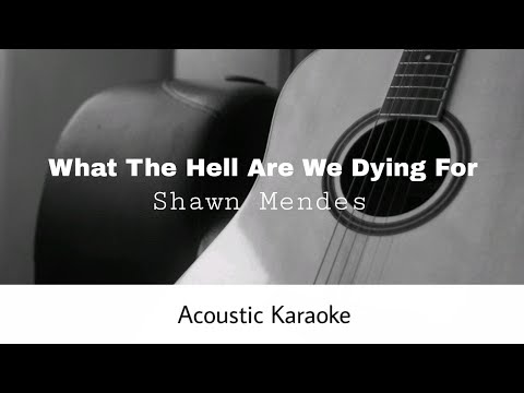 Shawn Mendes - What The Hell Are We Dying For?