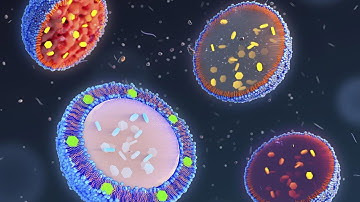 Seeing the Unseen, With UV-Vis-NIR Spectroscopy