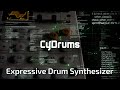 CyDrums | Expressive Drum Synthesizer (Official PV)
