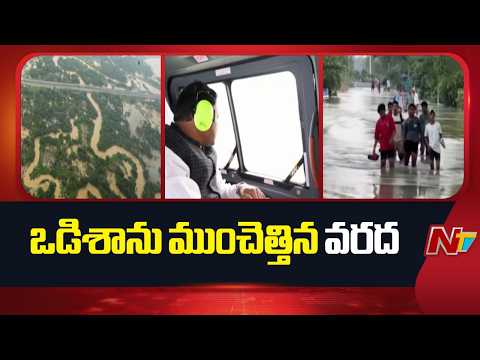 Heavy Flood Hits Odisha Due To Rain, Flood Alert To MahaNadhi | NTV Telugu