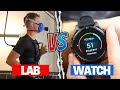VO2max Explained: Lab Test vs. Sports Watches (Garmin, Apple Watch, ...)