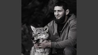 Wolves don't wear collarsS