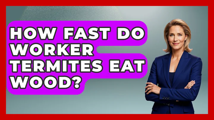 How Fast Do Worker Termites Eat Wood? - Insects and Invaders