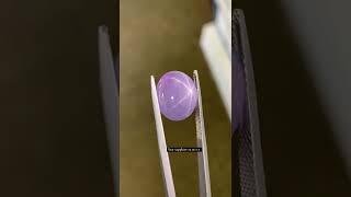 Gorgeous Unheated Star Sapphire 19.90 ct . With Very Fine Quality Gorgeous Unheated Star Sapphire 19.90 ct . With Very Fine Quality