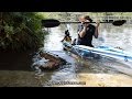 Surrounded by alligators in a see through canoe