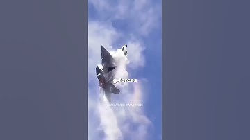 Thumbnail of What’s the Blackout Button on the F-22?