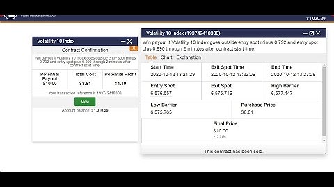 Binary options inout volatility 10 index strategy Make 14% every 2 minutes  Derivbinary com