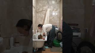Ванные процедуры с новым мылом для лапок❤️ #frenchbulldog #pets #shorts #французкийбульдог