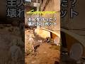 高級車を守る?ドッグタウンの壊れたロボット