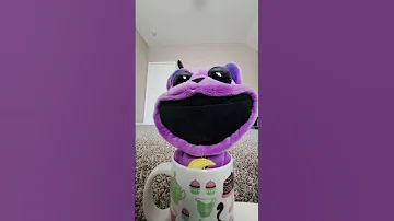 Catnap S Tea Party 