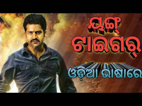 ୟଙ୍ଗ୍ ଟାଇଗର୍ | Latest Odia dubbed movie | Rabhsa Hindi Dubbed Movie | Jr NTR,Samantha Akkineni