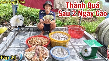 Thành Quả Sau 2 Ngày Cào Tập 21 - Ngư Dân Đ.ánh Bắ.t Hải Sản Cuối Mùa Nam | Anh Ngư Phủ