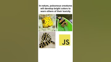 In Nature, Bright Colors Warn of Poison… Just Like JavaScript! 🐍💻| #javascript #shorts
