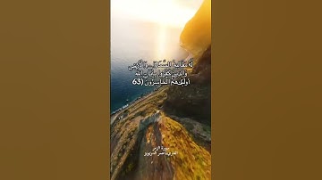 سوره الزمر💓❤️ #قناه #اكسبلور #المصحف #لايك