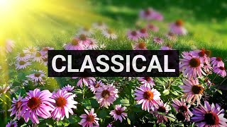 English Country Garden • Aaron Kenny • No Copyright Music • Royalty Free Music