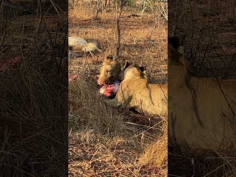 09 September 2025 09 September 2025