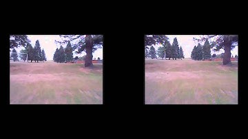 RCModelReviews Skyzone 3D Footage for Google Cardboard