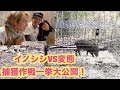 【捕獲の瞬間】イノシシの祟りか！？写ってはいけないものがこんなにも・・・