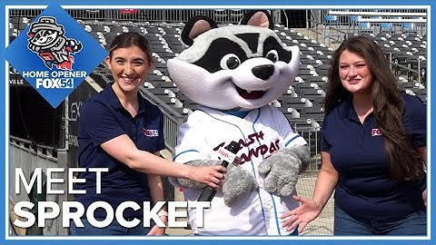Meet Sprocket, beloved mascot of the Rocket City Trash Pandas