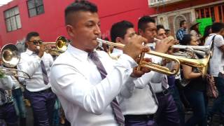 Video thumbnail of "El vampiro banda reyna de huajuapan comparsa cardenales carnaval San Lorenzo tezonco 2016"