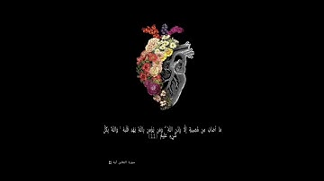 صوت يُريح القلب ، تلاوة آيات من سورة التغابن.