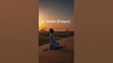 Did You Know The Five Pillars Of Islam Islamic Short Video Islamicshorts Islamicstatus 