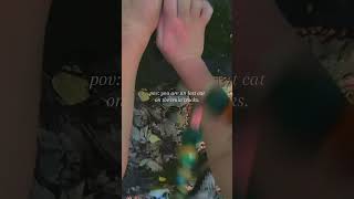 pov: you are an lost cat on the train tracks. | #antizoo #therian #therianthropy #quadrobics