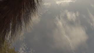 Squirrel Launcher Basket POV #squirrel #catapult #launcher launcher