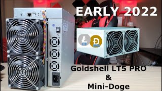 Goldshell LT5 Pro & Mini Dogecoin Miner  How Well Are They Doing Today? (Early 2022)