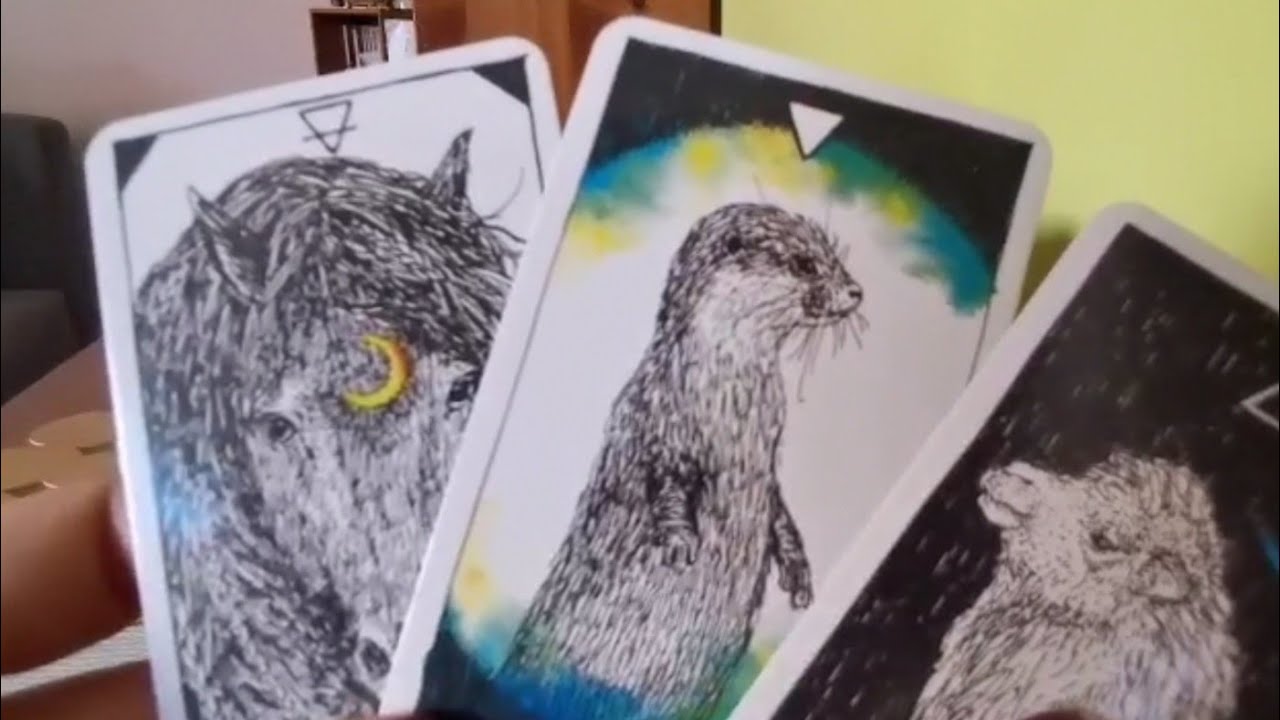 COSA LO AFFASCINA DI VOI? -  tarocchi interattivi, lettura carte🌟 ❤️🙏🏻💕