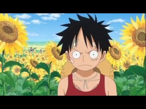 One Piece Episode 741 Preview Youtube