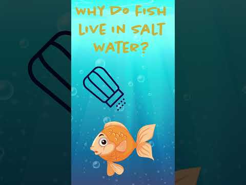 Video: Kāpēc dzenas zivis dzīvo?
