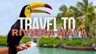 Riviera Maya Travel Guide: Explore Mexico's Caribbean Paradise