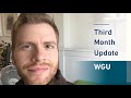 I'm on the 7th Course Now – Update on My Third Month at Western Governors University (WGU)