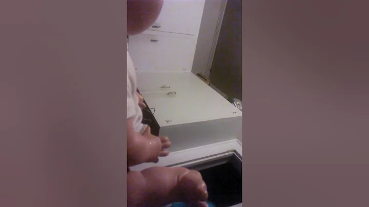 baby. Live.   videos.   made. By.     sa'norma.   ...
