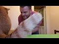 Тушеная курица по Румынски..как делаю я