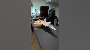 Sights & Sounds of an RC F-22! 🔥